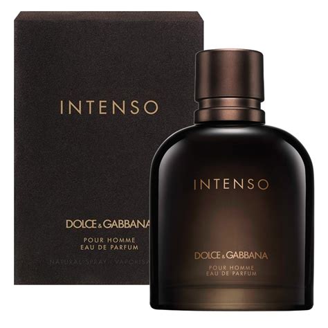 dolce gabbana intenso masculino|Dolce & Gabbana parfum pour homme.